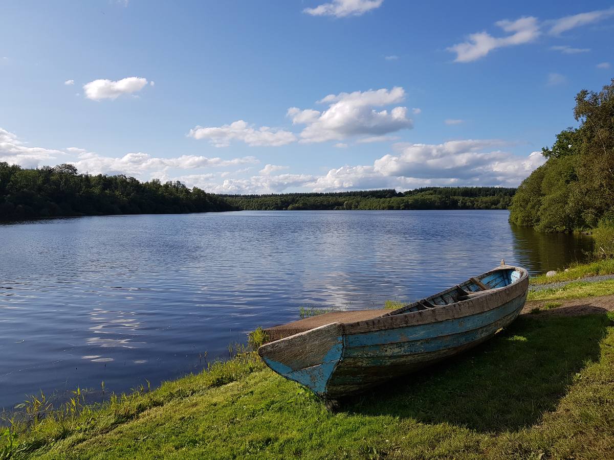 An old blue boat beached on the shore of Lough Oughter