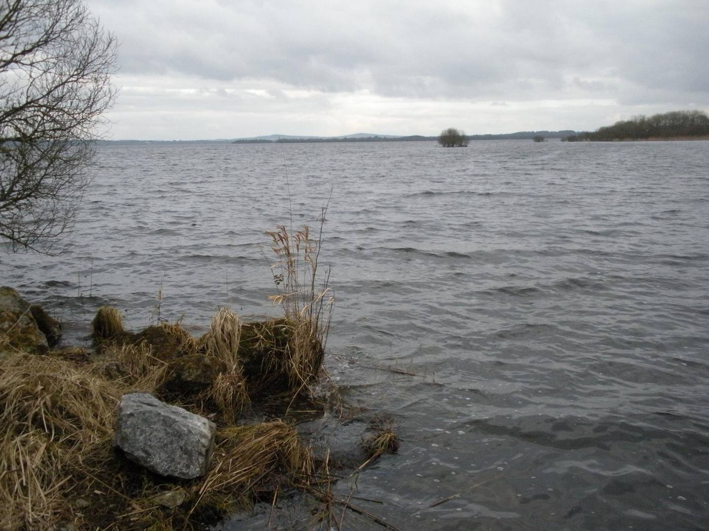 Lough Sheelin seen from the shore on a calm day