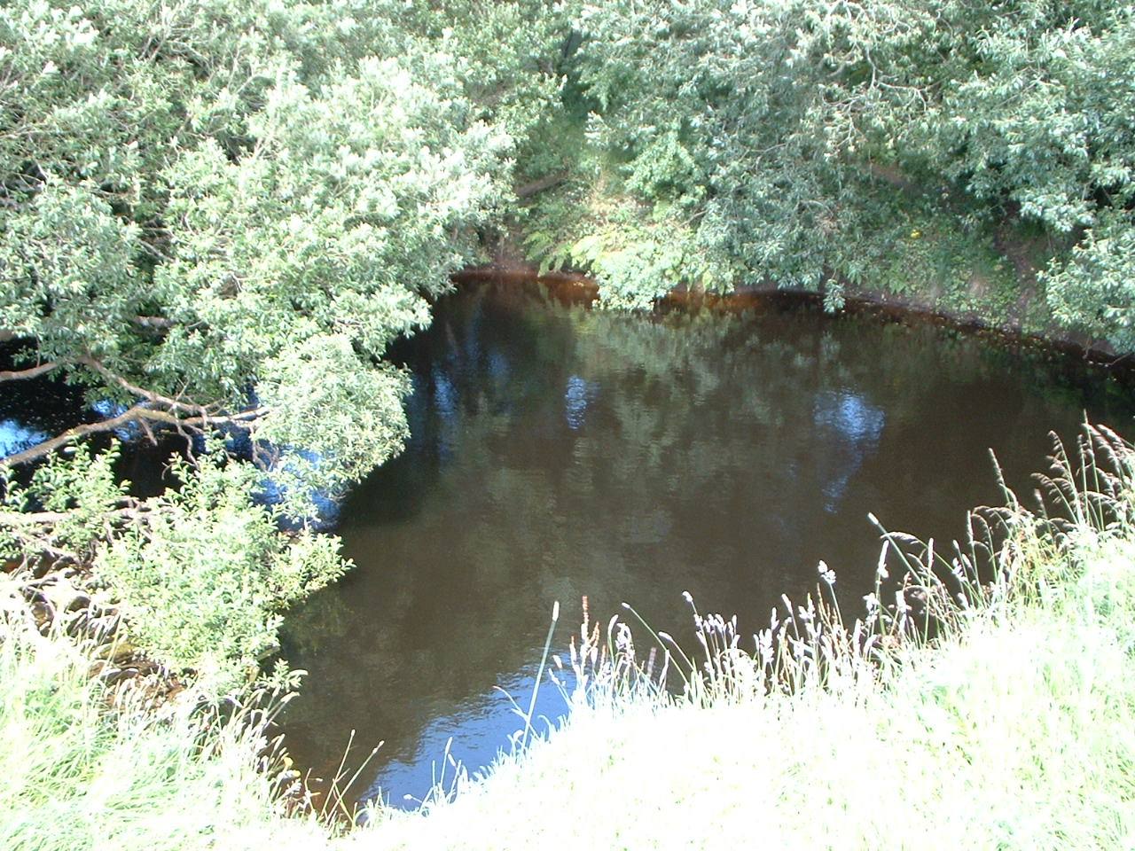 The Shannon Pot, the traditional source of the River Shannon, in County Cavan