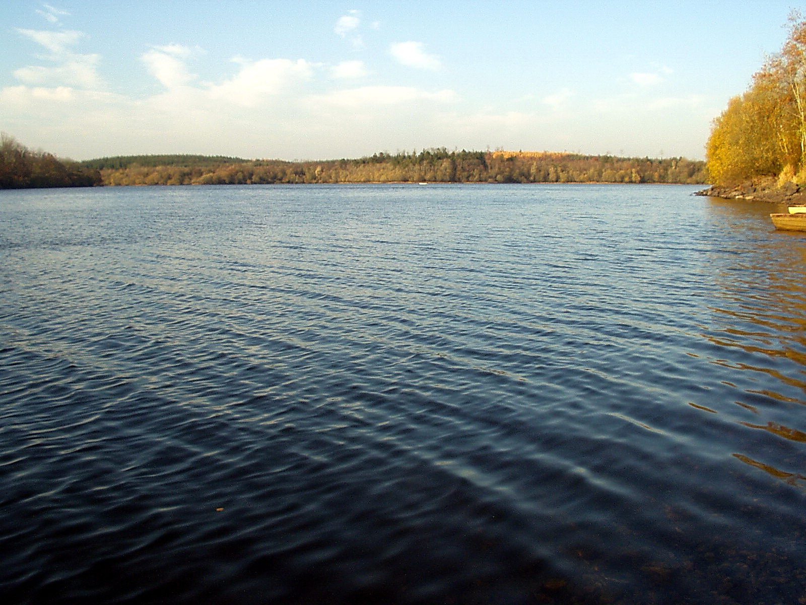 Lough Oughter in County Cavan with wooded shoreline